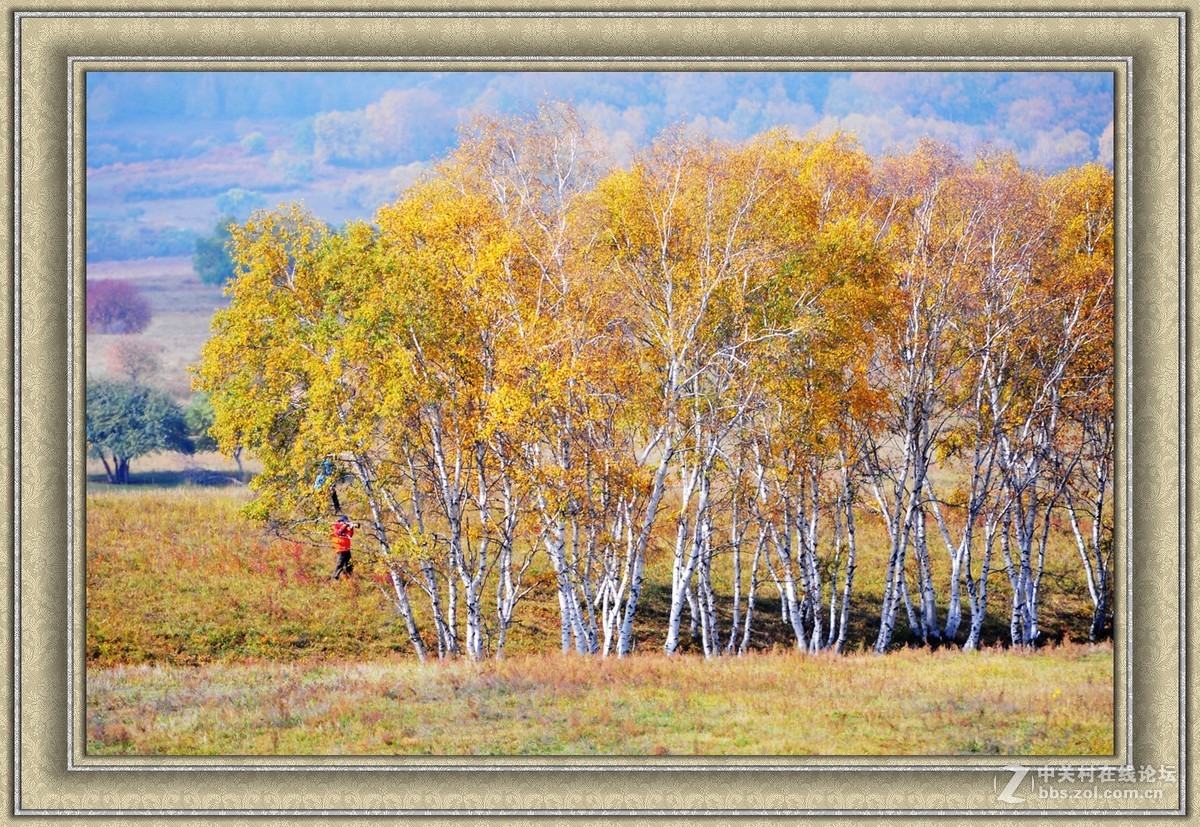 【乌兰布统】---秋色斑斓