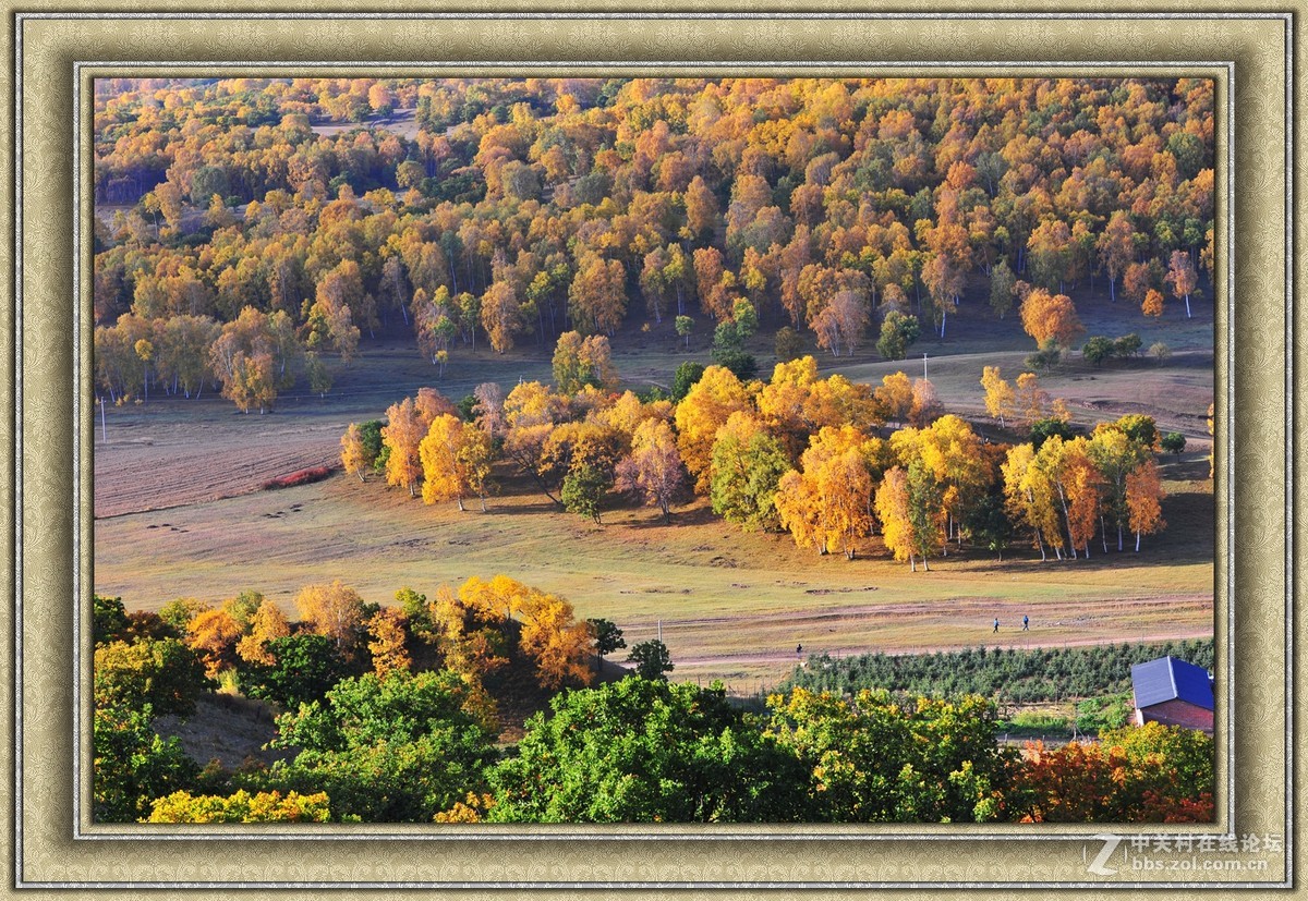 【乌兰布统】---秋色斑斓