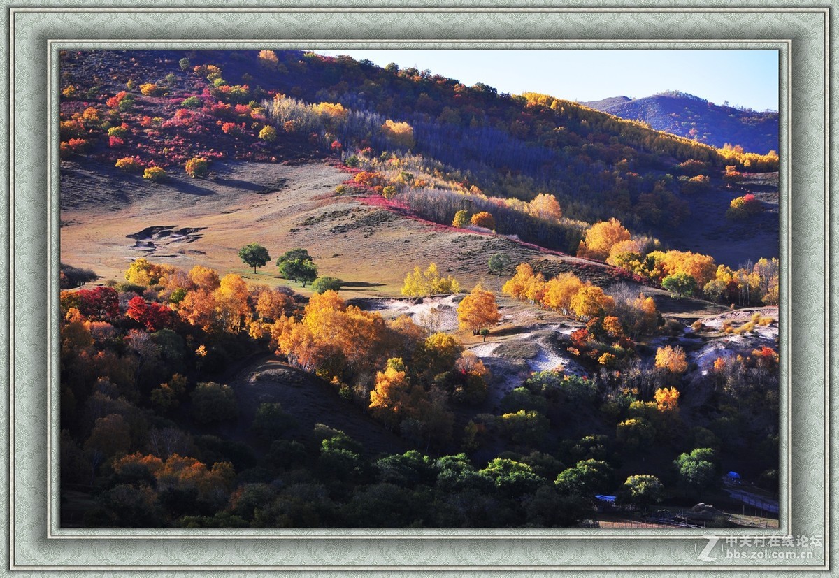 【乌兰布统】---秋色斑斓