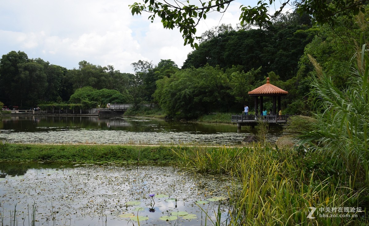 廣州華南植物園