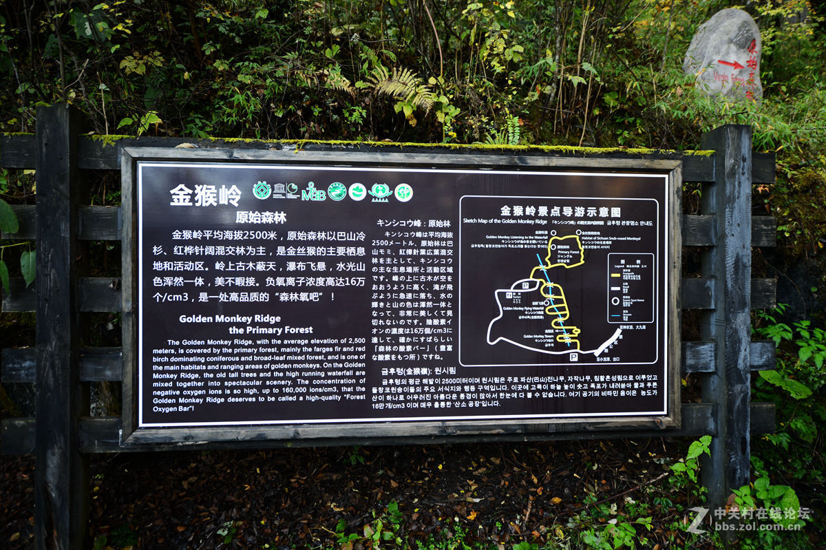 神农架金猴岭小片