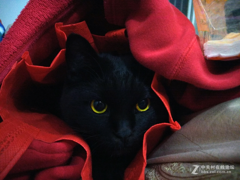 夜晴（手机拍摄）