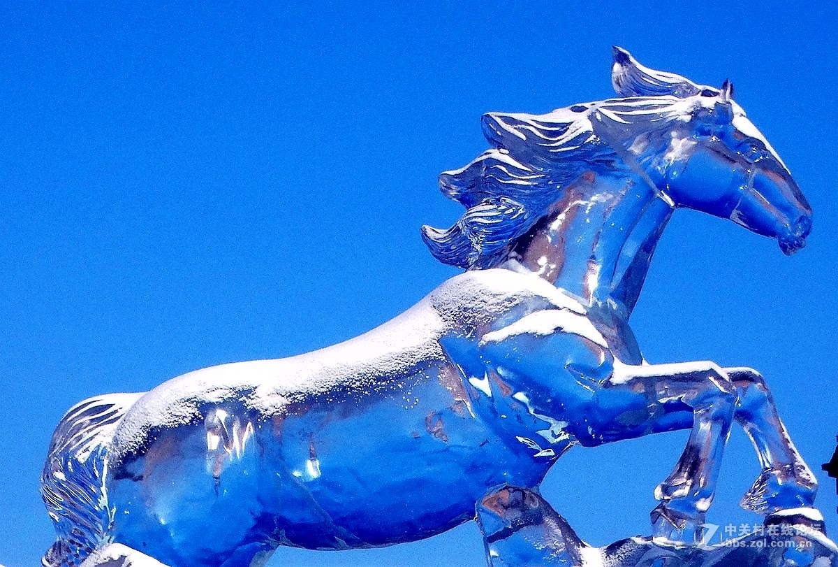 春节回家寻宝---骏马冰雕