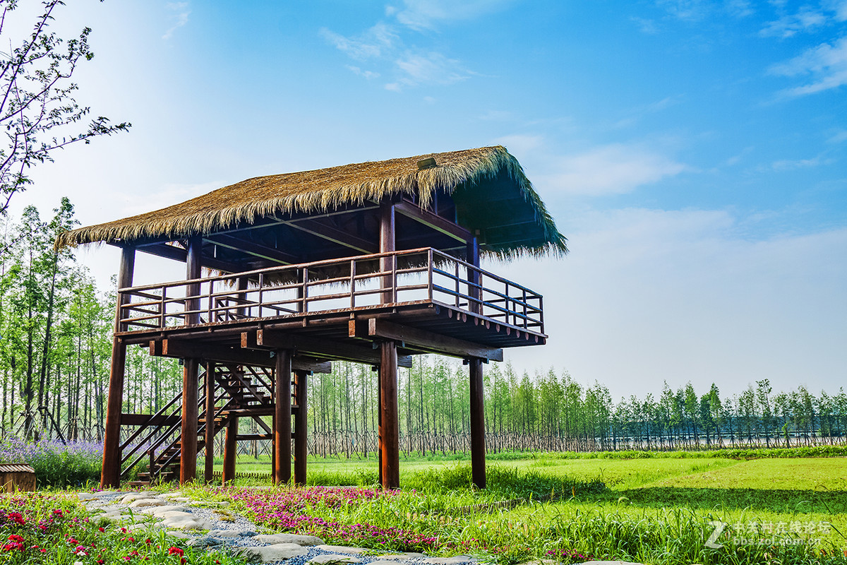 长田漾湿地公园风光