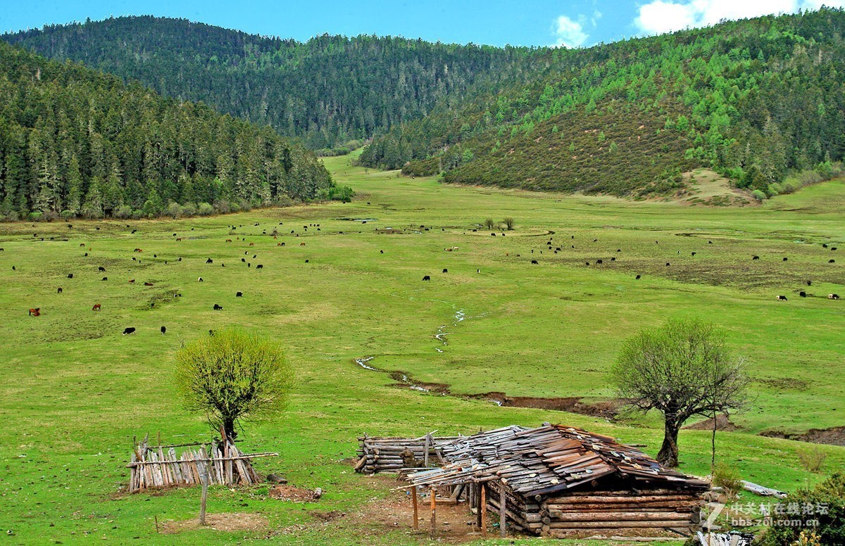 丽江行使香格里拉沿途风光