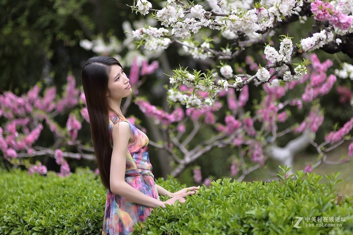 #版主坐堂#2018年8月份《承德》优秀作品选辑