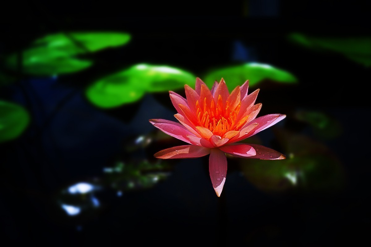 #版主坐堂#2018年8月份《承德》优秀作品选辑