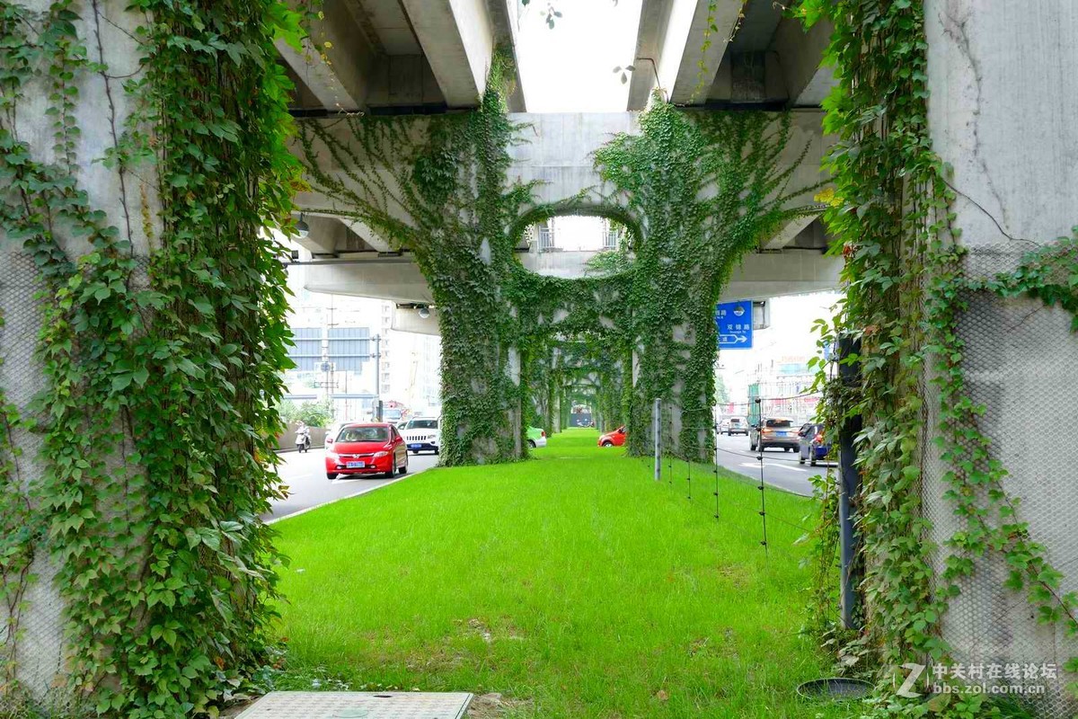 尚未完全交付使用的金沙枢纽站