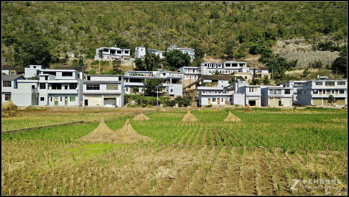 一组田园片恭贺好友永不败落的神圣履新手机摄影星空(中国)新版