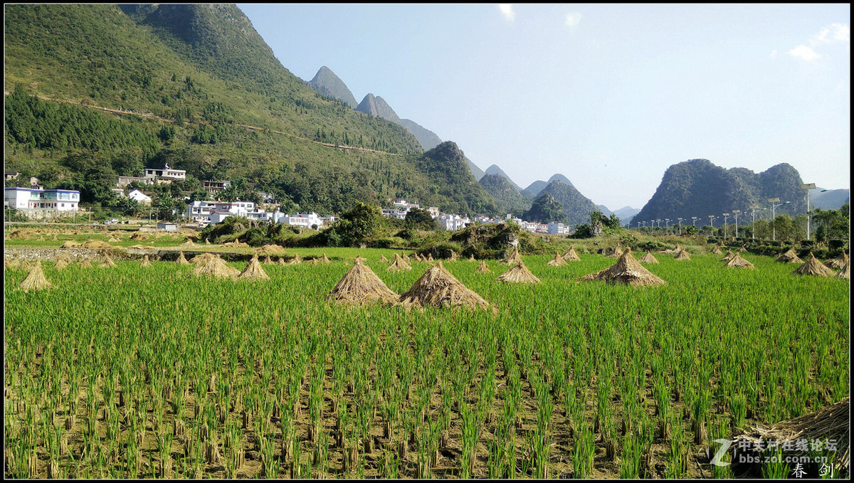 一组田园片恭贺好友永不败落的神圣履新手机摄影星空(中国)新版