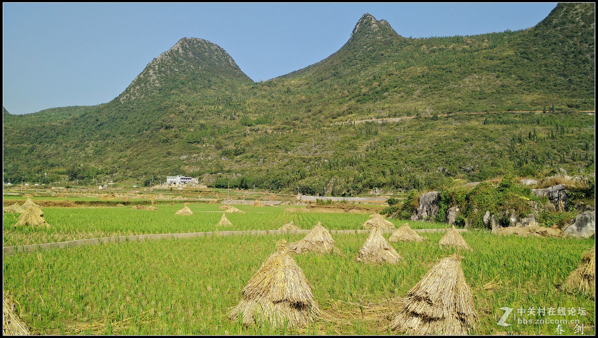 一组田园片恭贺好友永不败落的神圣履新手机摄影星空(中国)新版