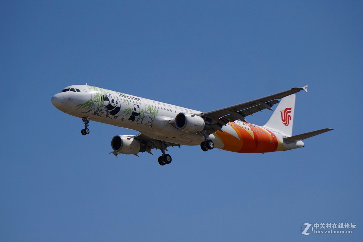 昨日6000首都机场拍机