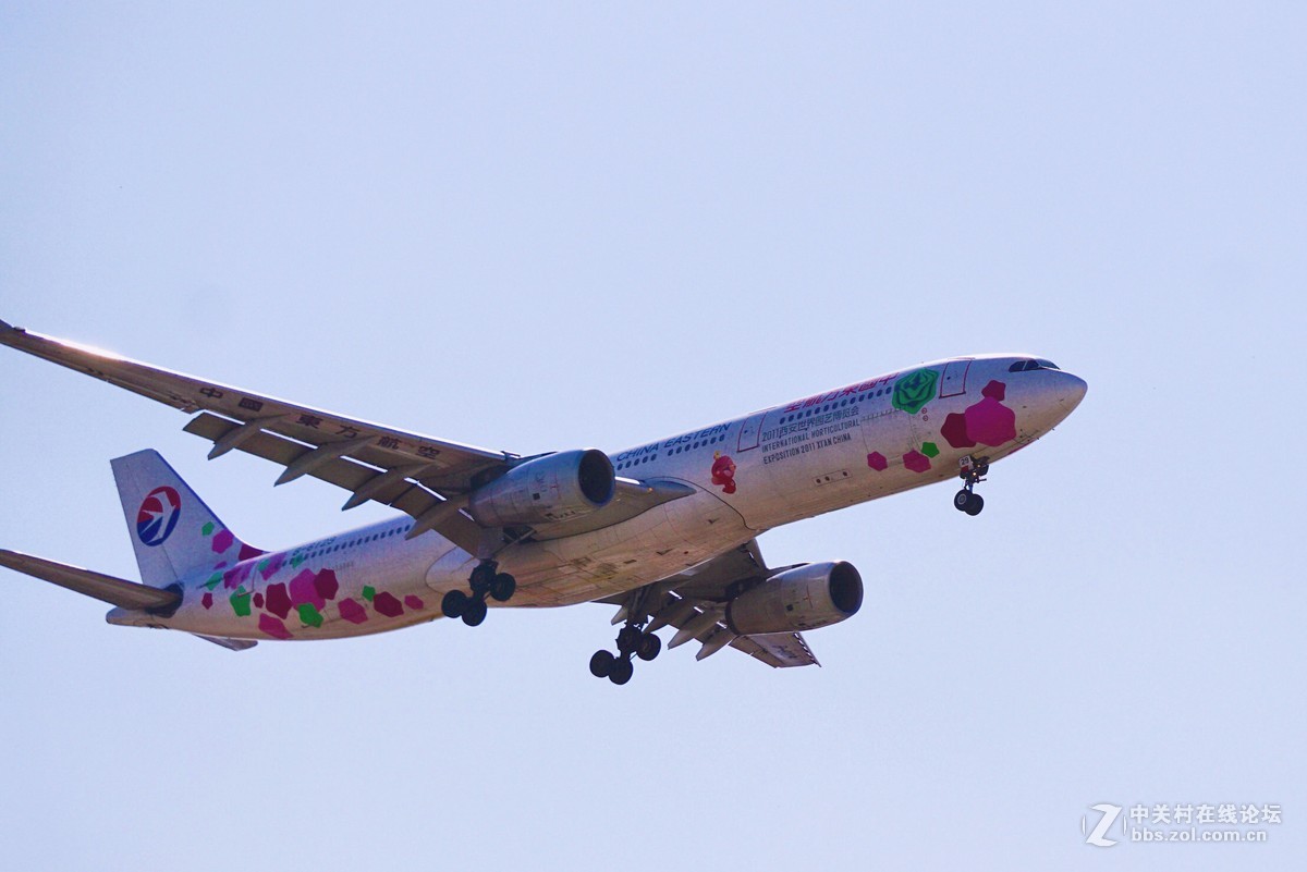 昨日6000首都机场拍机