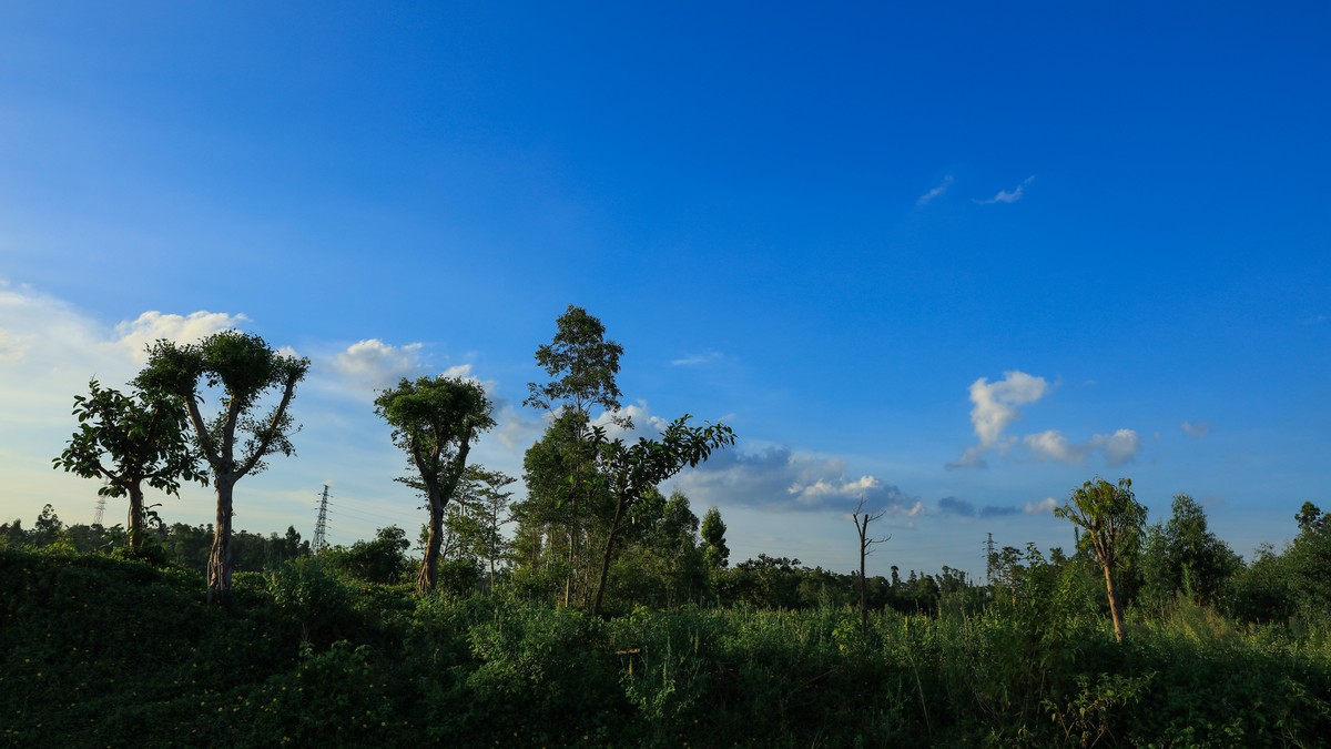 蓝天、白云、碧水、绿树