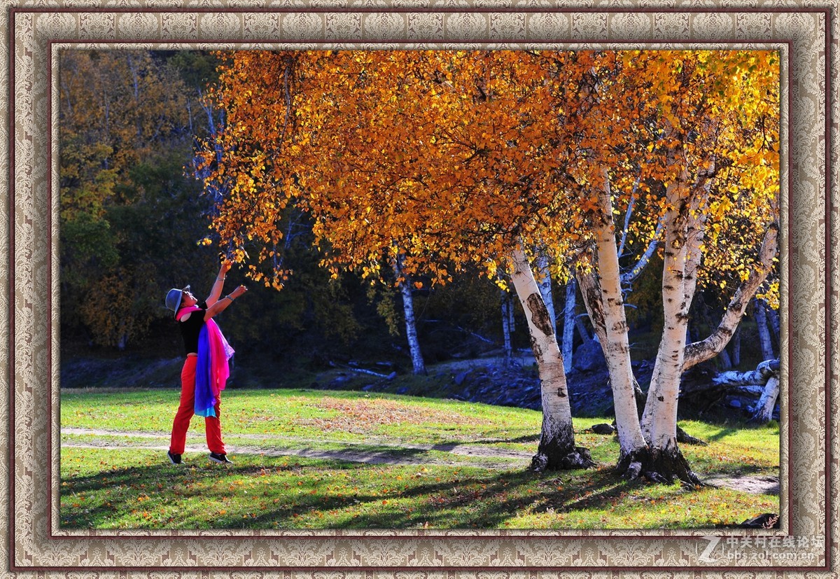 【乌兰布统】---秋色斑斓