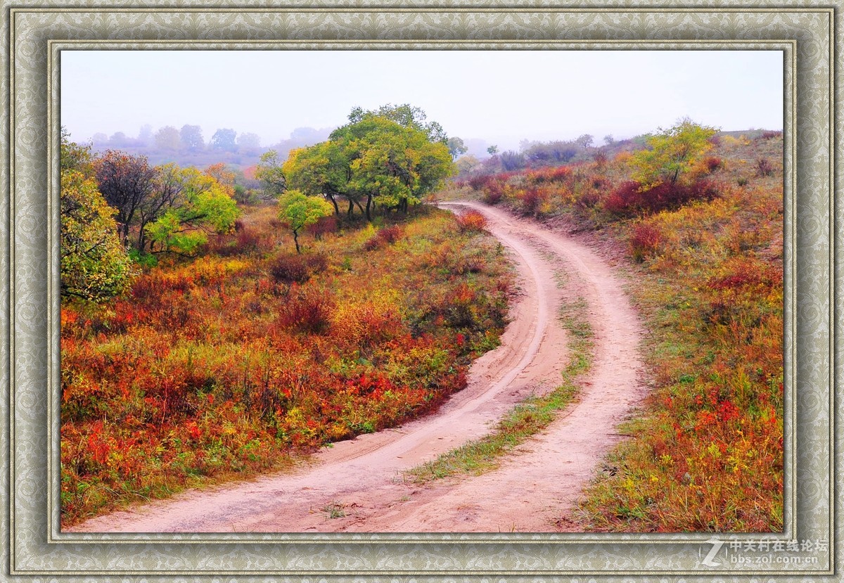 【乌兰布统】---秋色斑斓