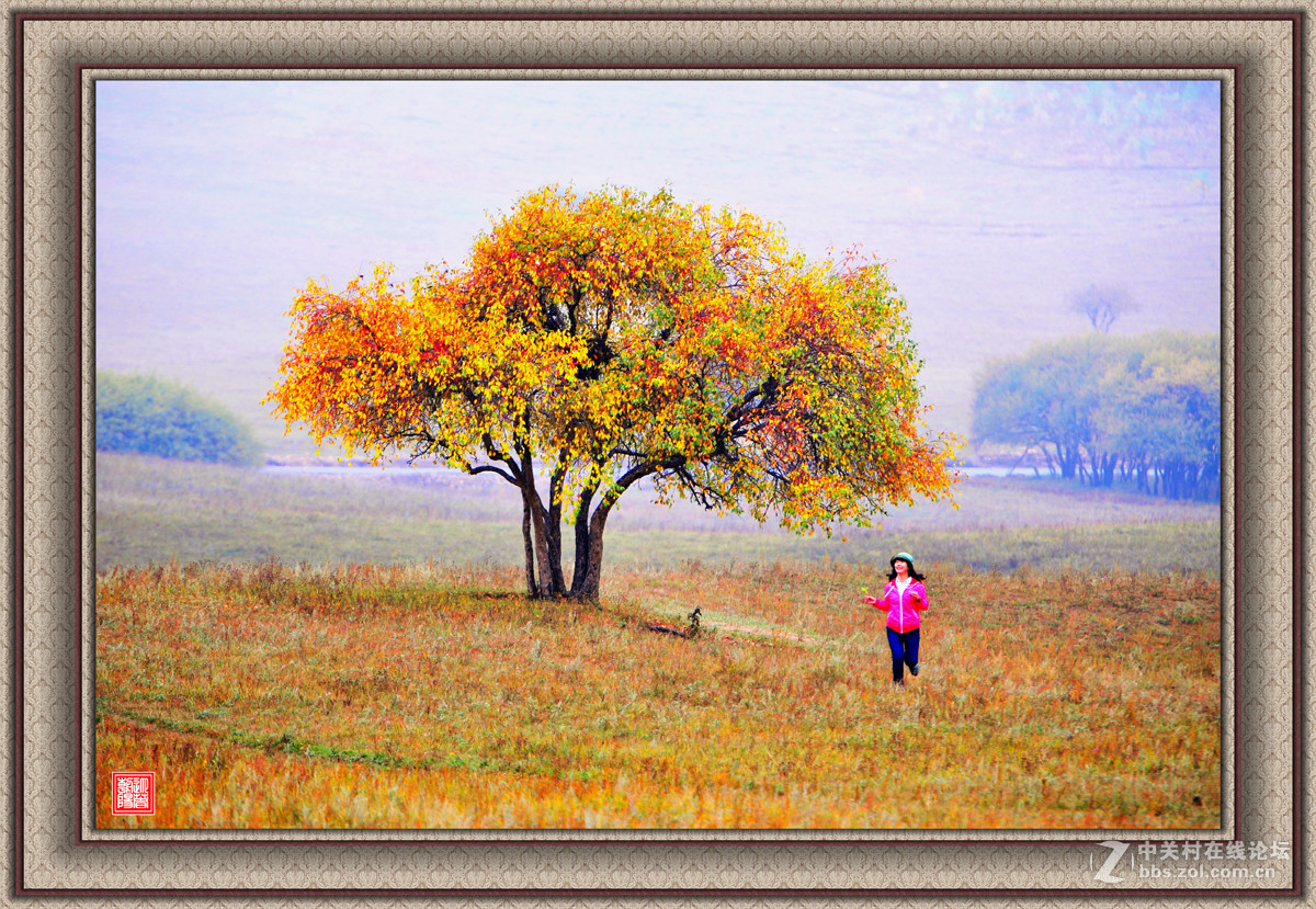 【乌兰布统】---秋色斑斓