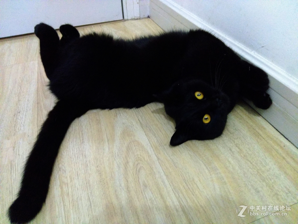 夜晴（手机拍摄）