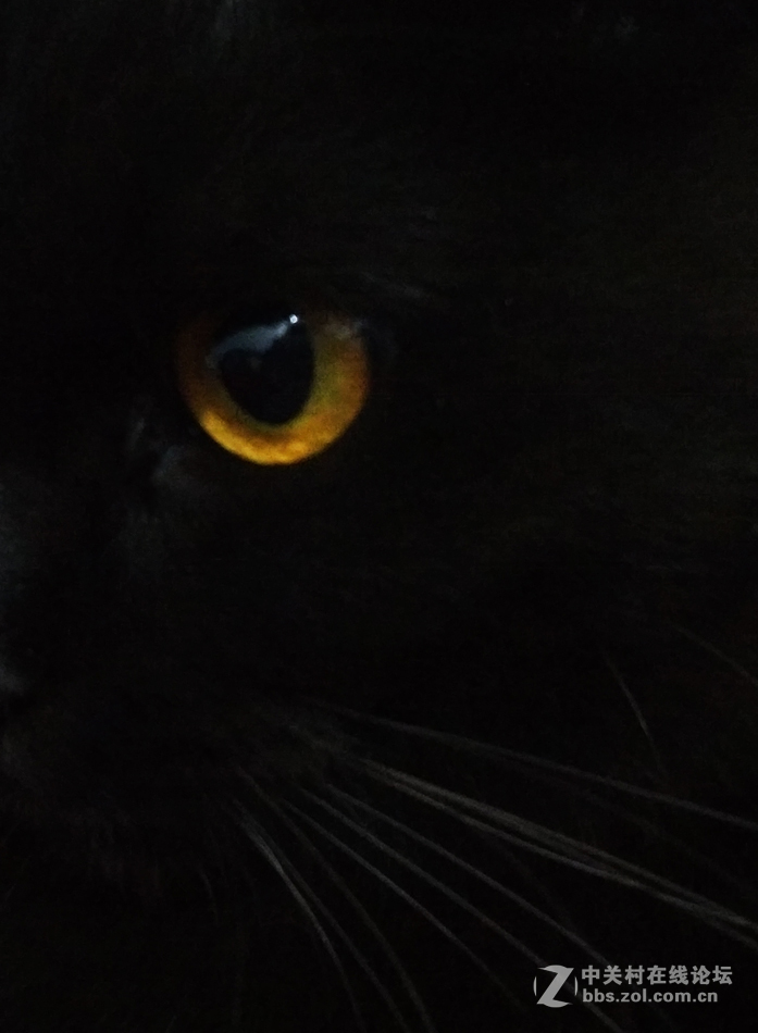 夜晴（手机拍摄）