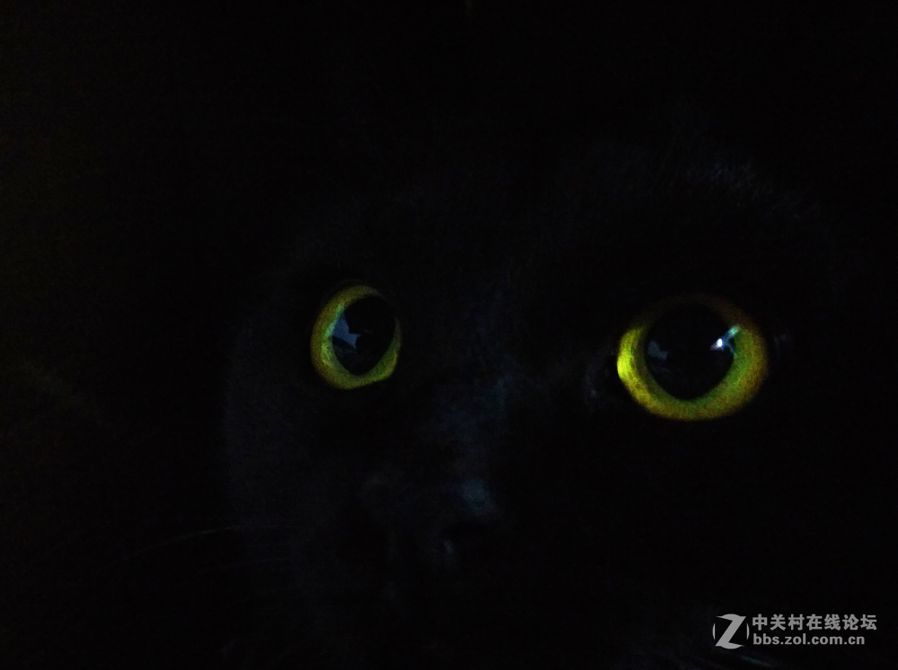 夜晴（手机拍摄）