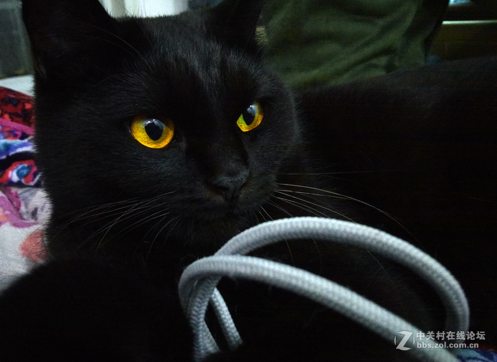 夜晴（手机拍摄）