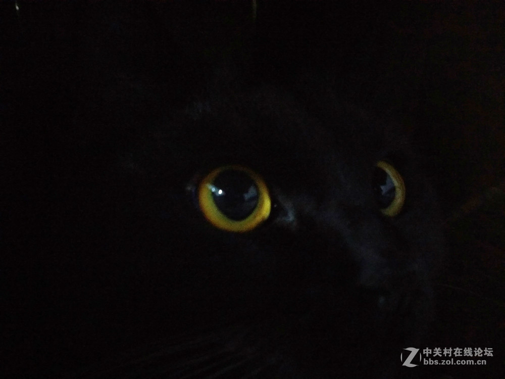 夜晴（手机拍摄）