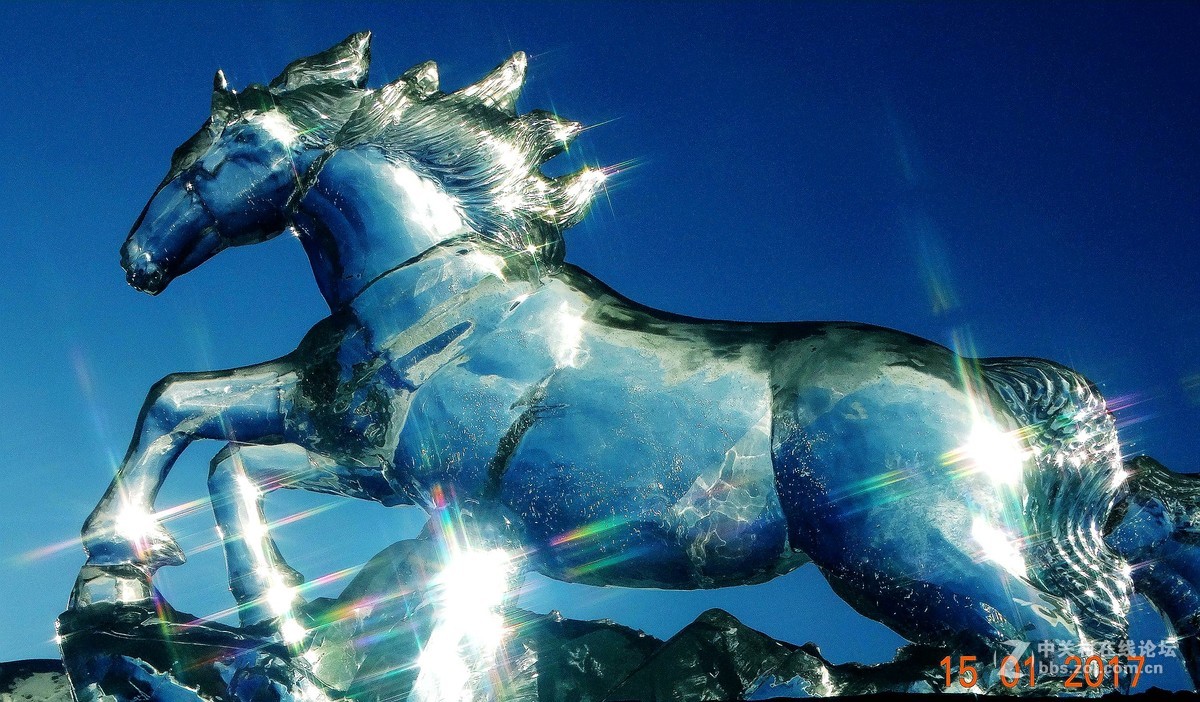 春节回家寻宝---骏马冰雕