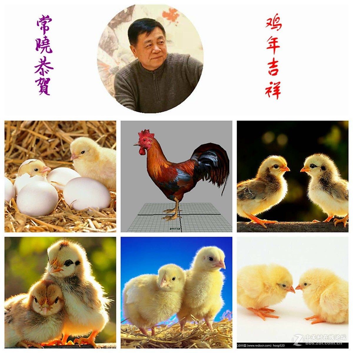 春节回家寻宝---骏马冰雕
