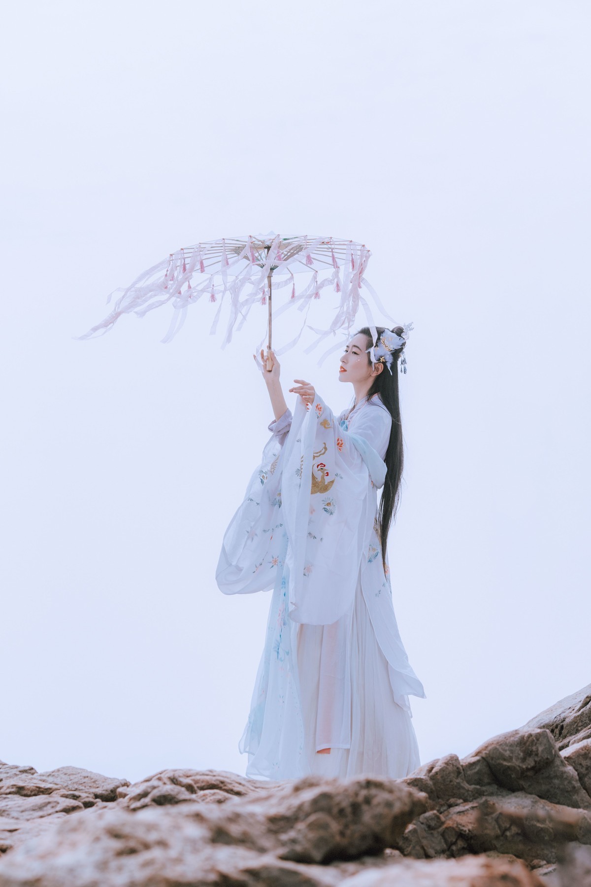 沧海月明珠有泪