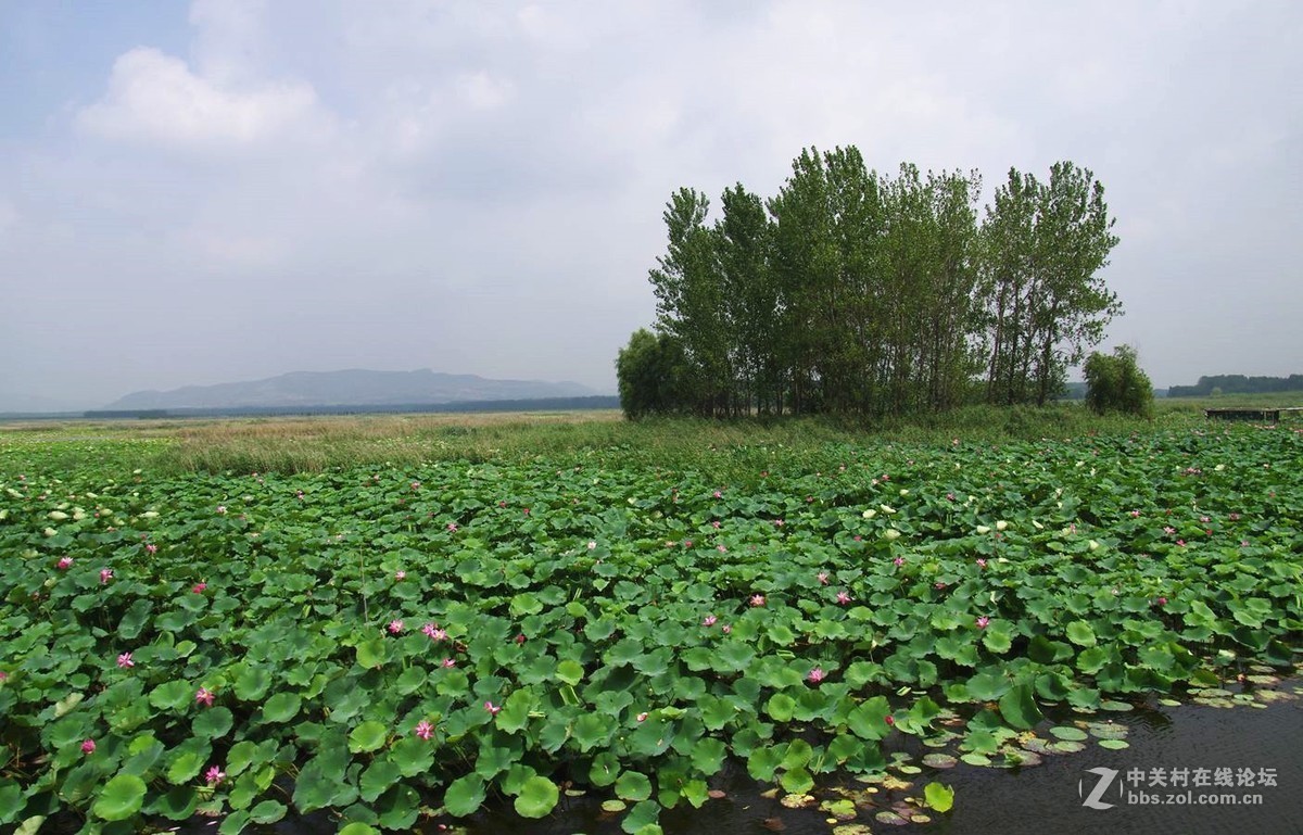 #版主坐堂#2018年8月份《承德》优秀作品选辑