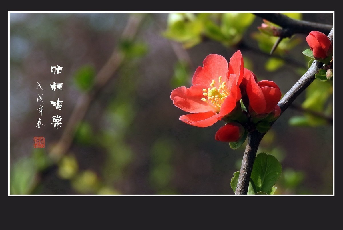 #版主坐堂#2018年8月份《承德》优秀作品选辑