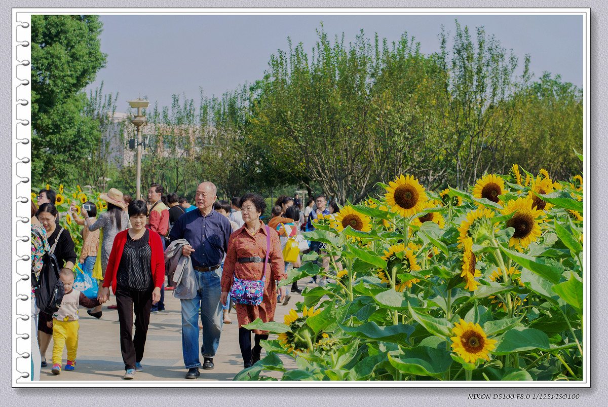 生活追随着光明，穷极一生只望最初的梦想