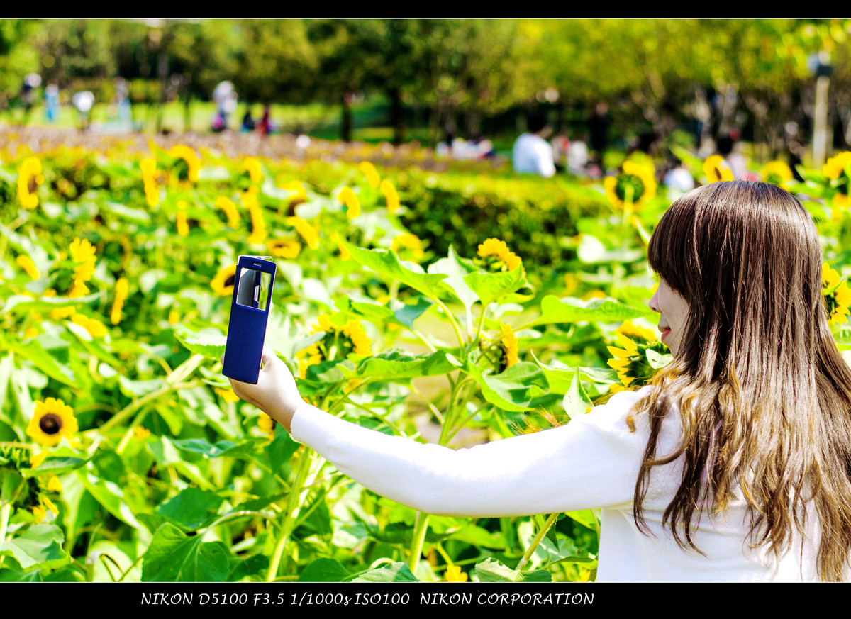 生活追随着光明，穷极一生只望最初的梦想