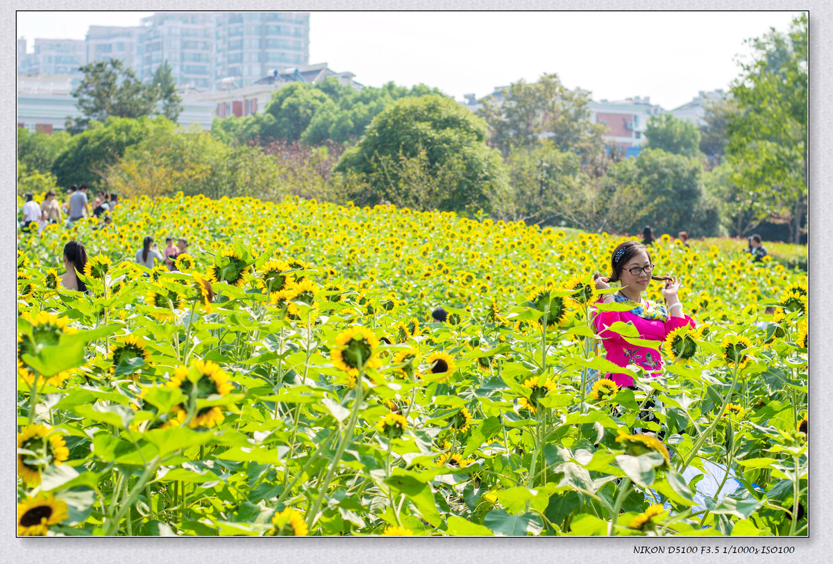 生活追随着光明，穷极一生只望最初的梦想