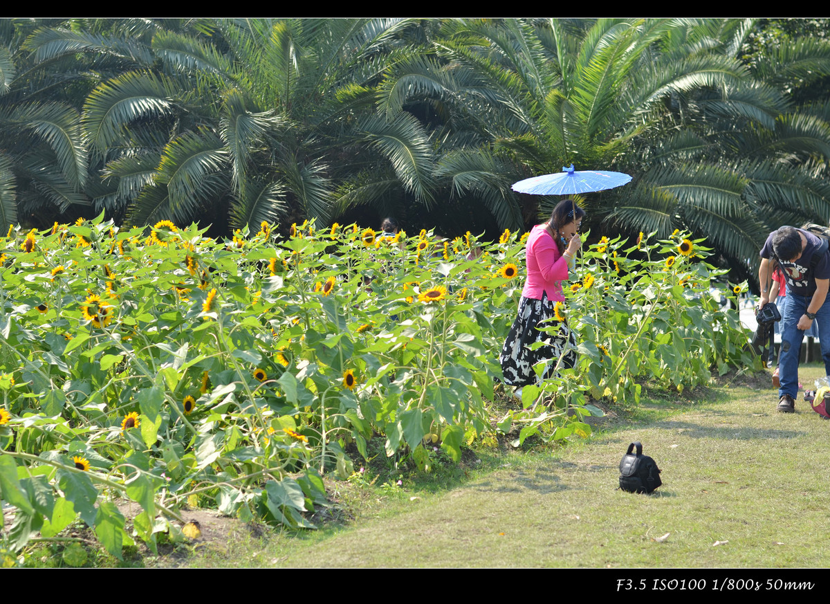 生活追随着光明，穷极一生只望最初的梦想