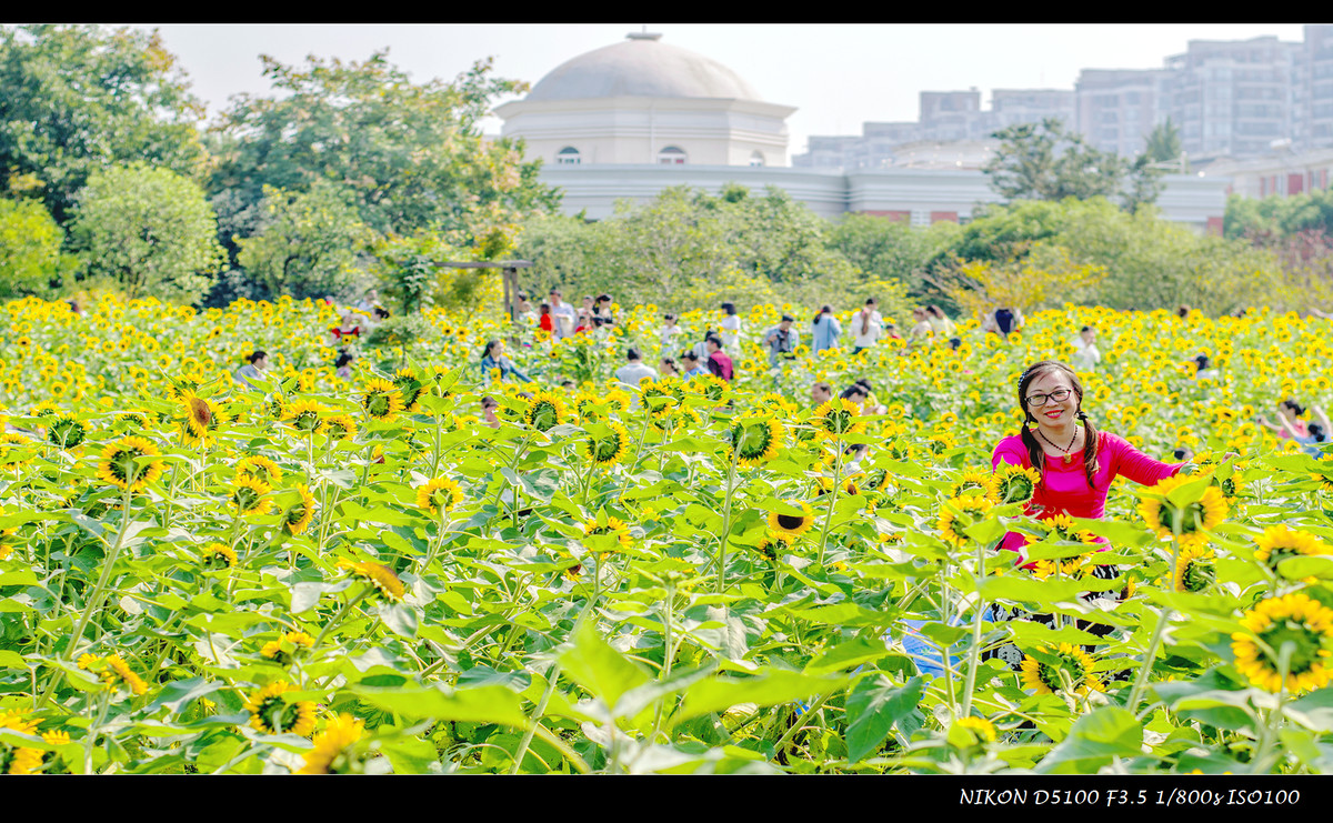 生活追随着光明，穷极一生只望最初的梦想