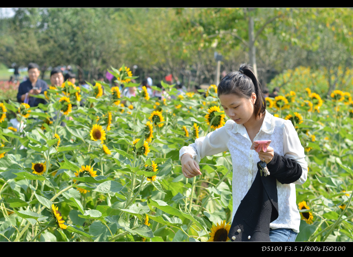 生活追随着光明，穷极一生只望最初的梦想