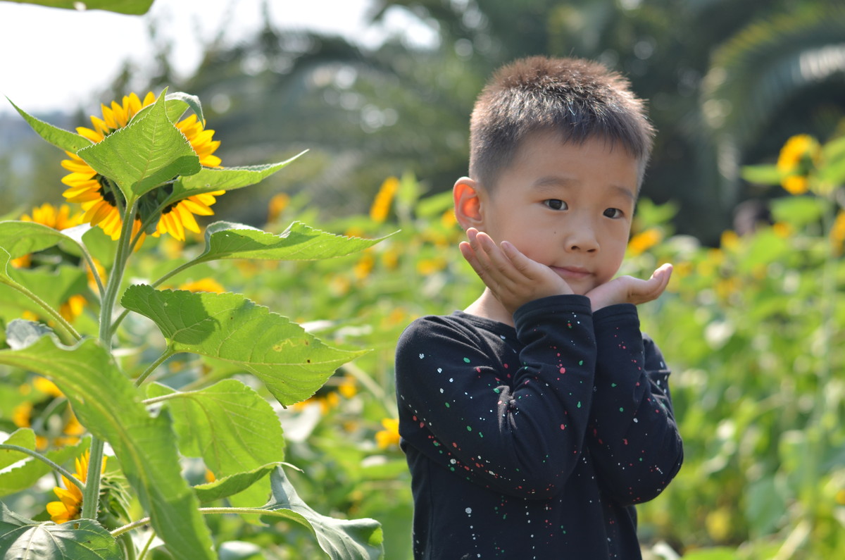 生活追随着光明，穷极一生只望最初的梦想
