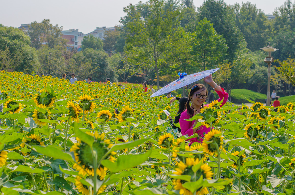 生活追随着光明，穷极一生只望最初的梦想