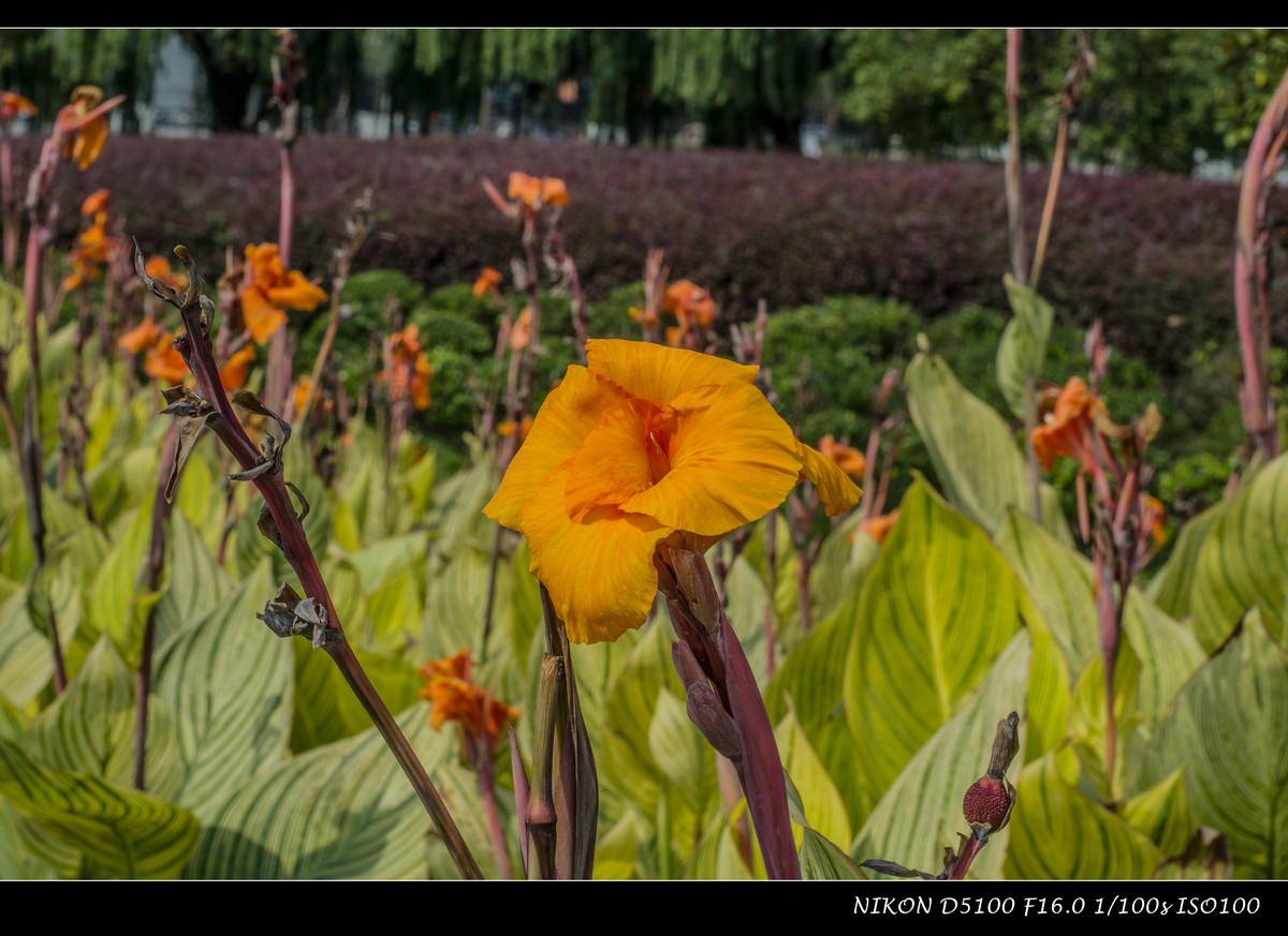 生活追随着光明，穷极一生只望最初的梦想