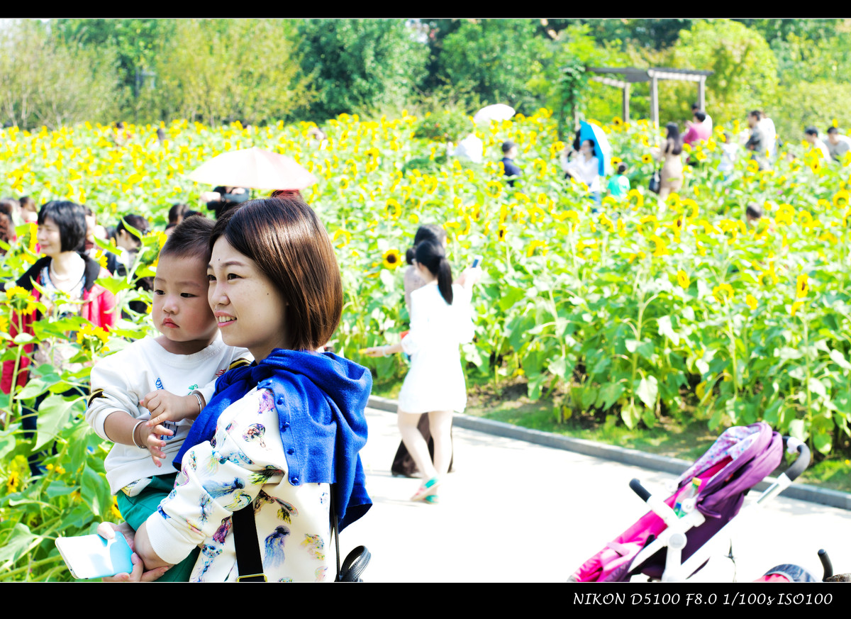 生活追随着光明，穷极一生只望最初的梦想