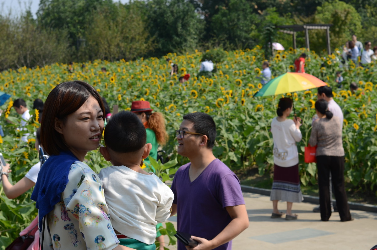 生活追随着光明，穷极一生只望最初的梦想