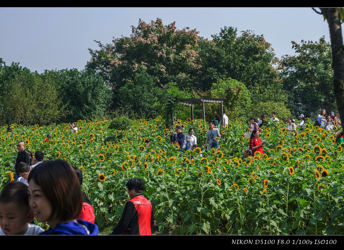 生活追随着光明，穷极一生只望最初的梦想