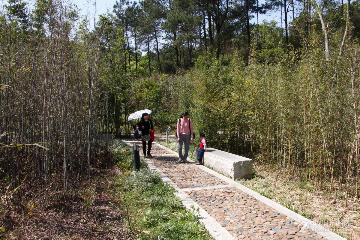 神光山4Ａ级森林公园随拍