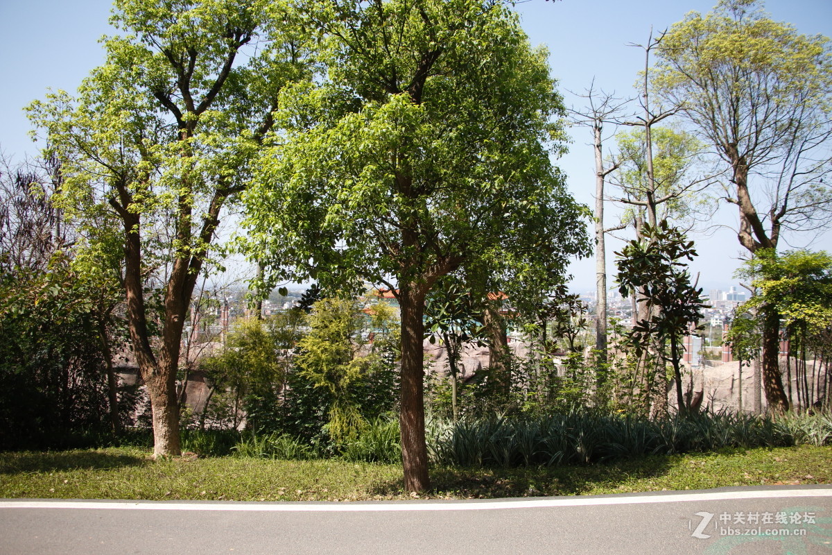 神光山4Ａ级森林公园随拍