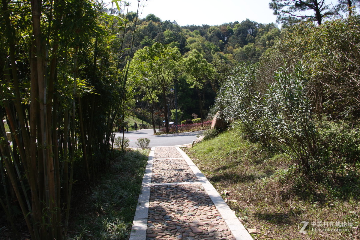 神光山4Ａ级森林公园随拍