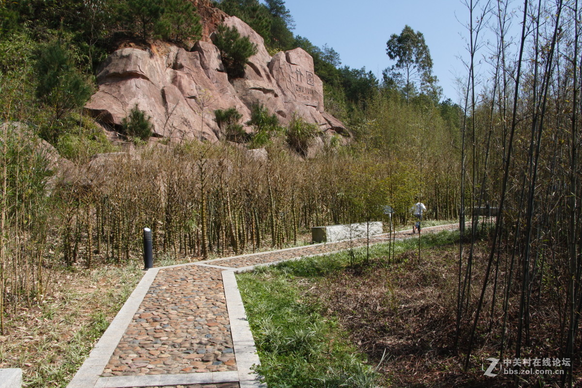 神光山4Ａ级森林公园随拍