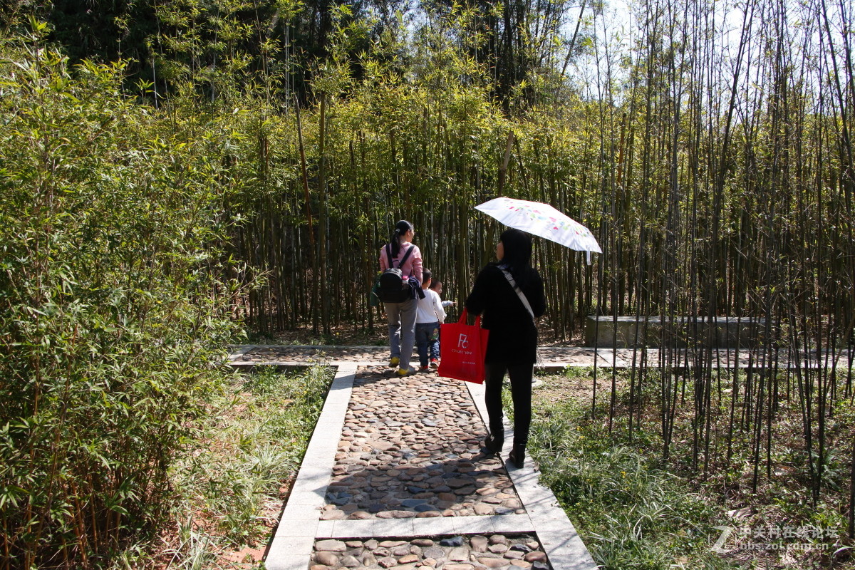 神光山4Ａ级森林公园随拍