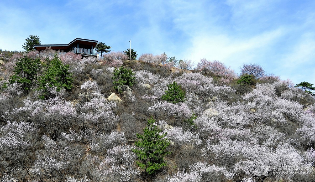 再次  桃花沟