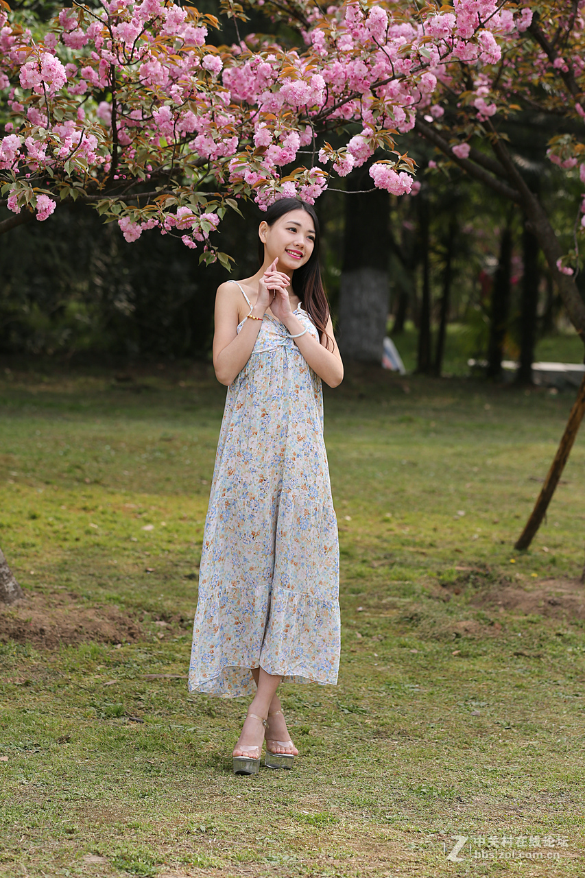 带来美女，贺“浩月长弓”好友侨乡星空(中国)再挑重担